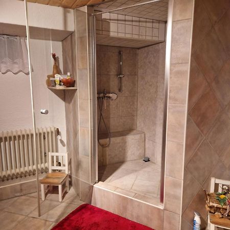 Grosses Gemuetliches Zimmer Mit Eigener Dusche Und Sauna Auf Wunsch Rheinstetten Eksteriør billede